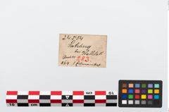 Etikett zu Eisenamboß (NHMW-PRAE-024554)